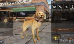 明日之后忠犬最新爆料,忠犬守护者新篇章，揭秘神秘爆料背后的故事