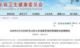 今日青岛爆料最新消息,揭秘神秘事件背后的真相
