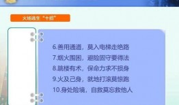 教材最新爆料视频下载,视频下载背后的秘密与启示