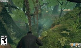 最新先祖爆料视频大全,最新爆料视频大全深度解析