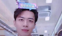 网红名媛爆料视频大全最新,揭秘娱乐圈不为人知的秘密