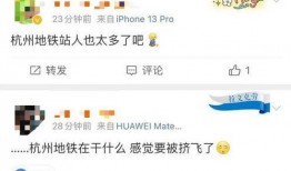 今日杭州最新爆料,揭秘城市热点事件背后的真相