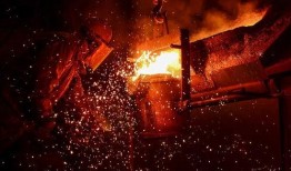 新闻爆料鸟死人最新消息,最新爆料揭示“鸟死人”惊人真相”